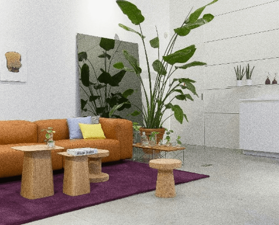 Ergonomic Office Chairs